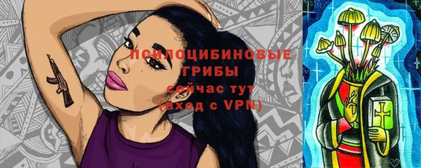 МДПВ Касимов