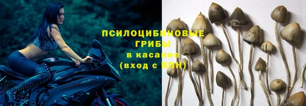 МДПВ Касимов
