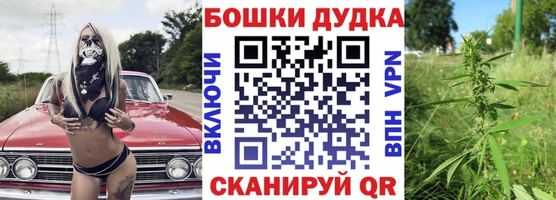 где купить наркотик  mega tor  МАРИХУАНА план  Жуковский 